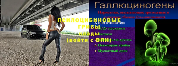 ПСИЛОЦИБИНОВЫЕ ГРИБЫ Вяземский