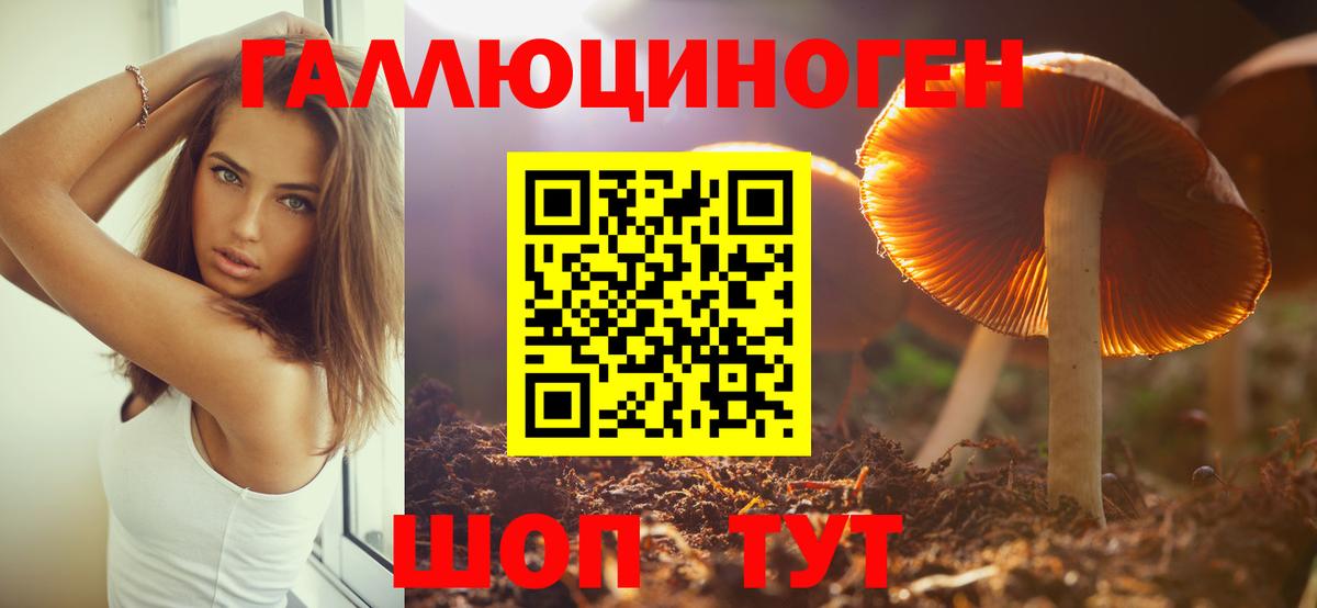 Гуково  Псилоцибиновые грибы мухоморы  Вход с VPN 